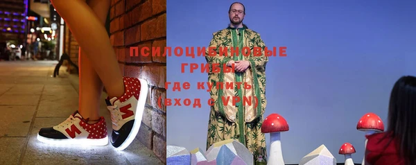 мяу мяу мука Алексин