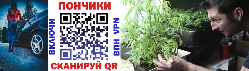 Бошки марихуана планчик  Далматово 